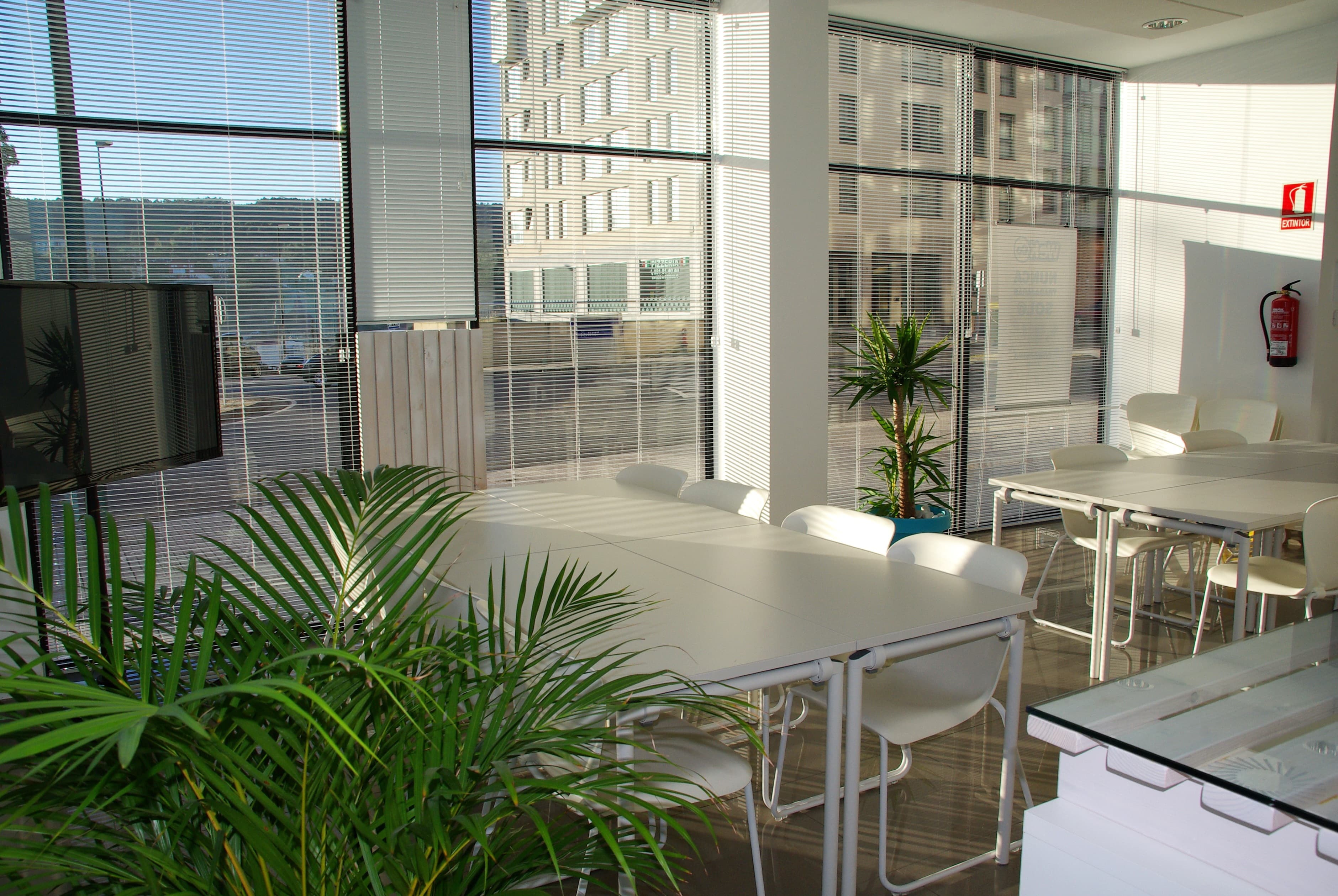 Bright modern office space with floor-to-ceiling windows and indoor plants