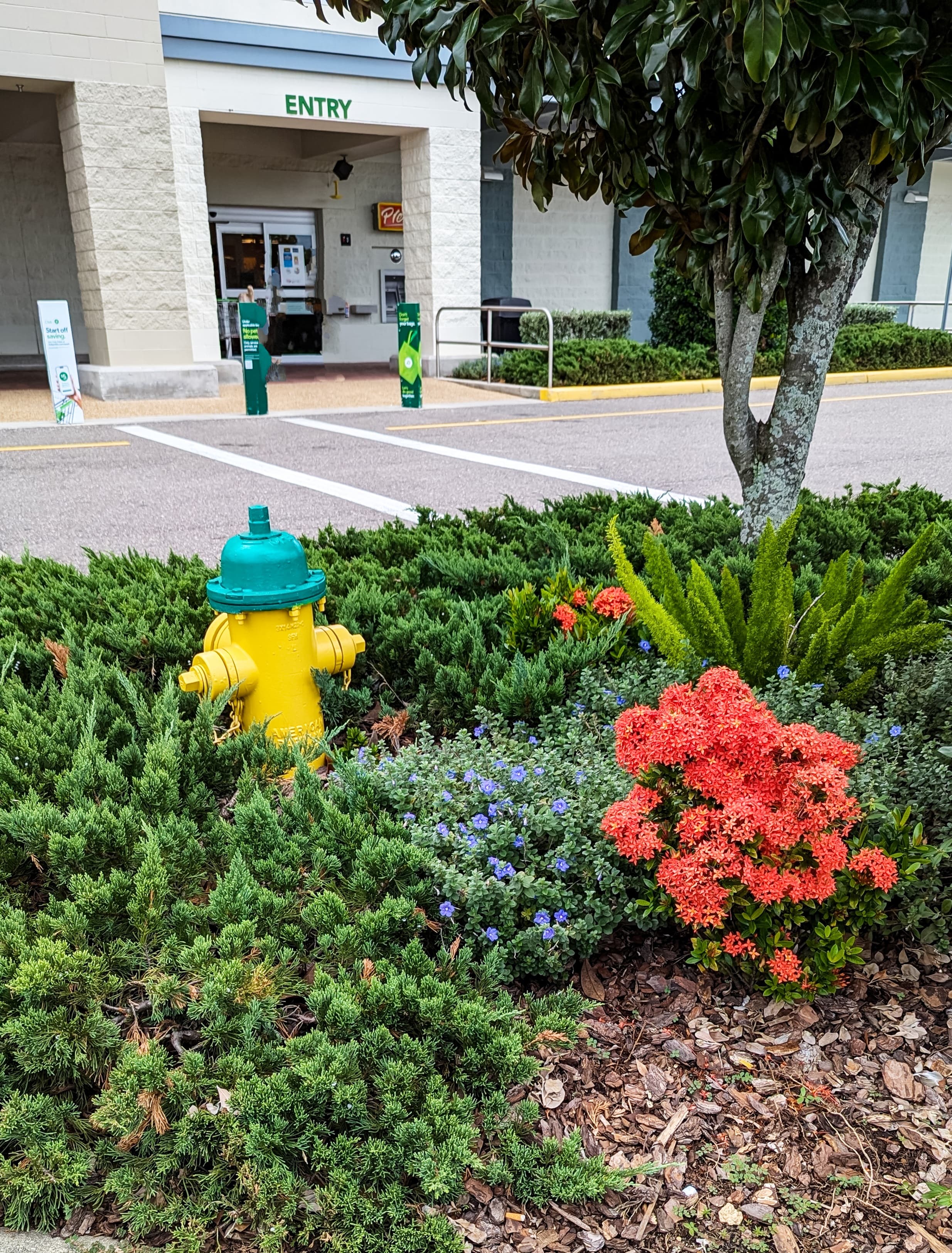 Landscaped mulch bed with seasonal flowers and shrubs at a commercial storefront entrance